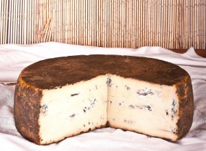 Toma-Blu-alle-Erbe-La-Casearia-Carpenedo
