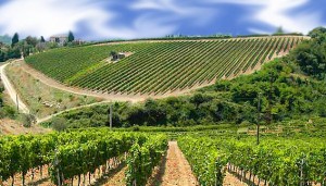 agroalimentare