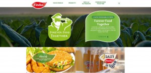 Screenshot_homepage_Findus.it