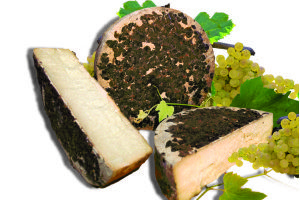 Formaggio-Bufala-Ubriacato-al-Glera-di-Latteria-Perenzin