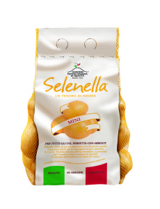 SELENELLA_MINI_rete