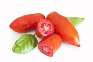 pomodori-sanmarzano