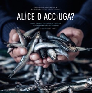 Alice o Acciuga