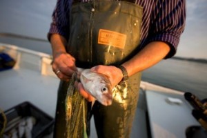 Pesce_Pescatore_StefanKnoblauch_C@InternationaleBodenseeTourismusGmbH