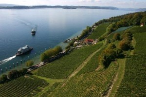 Vigneti_ MeersburgC@InternationaleBodenseeTourismusGmhHLR