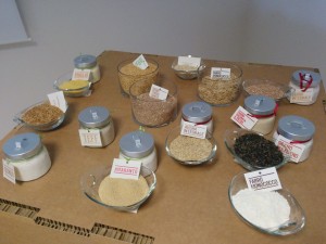MangiarsanoGerminal-variet-grani-antichi2