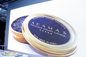ADAMAS Caviar