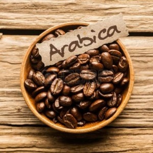 arabica caffè