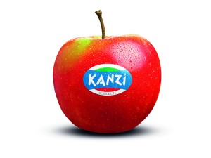 Kanzi_Mela