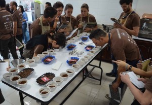 umami barista camp - honduras (2)