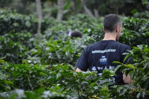 umami barista camp - honduras (4)