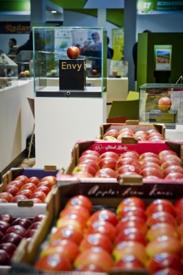 envy_FruitLogistica