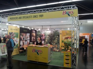 Brio