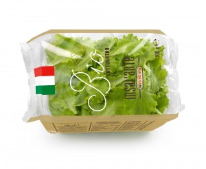 LR_Insal'Arte-Bio-Lattughino-100g