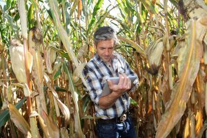 Agricoltura Digitale