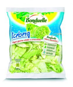 Busta_Iceberg 100