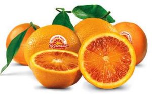 sito di incontro gratuito senza registrazione kik