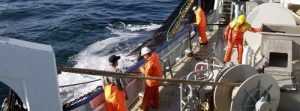 MSC Pesca Sostenibile