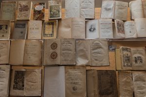 libri Boscolo