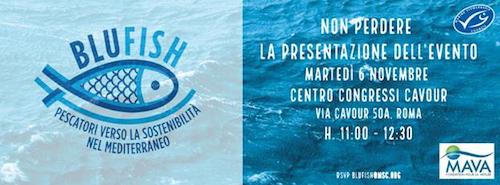 Blufish MSC
