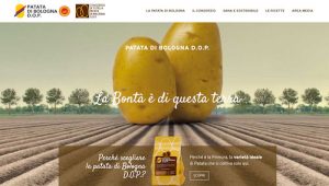 Homepage sito patata Bologna DOP
