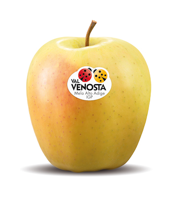 Golden Delicious Val Venosta Golden Delicious Val Venosta