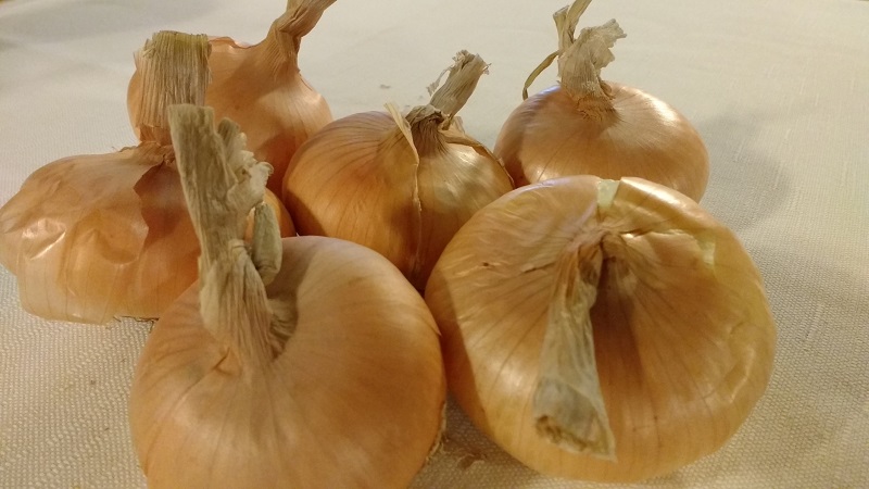 Cipolla bionda di Cureggio e Fontaneto