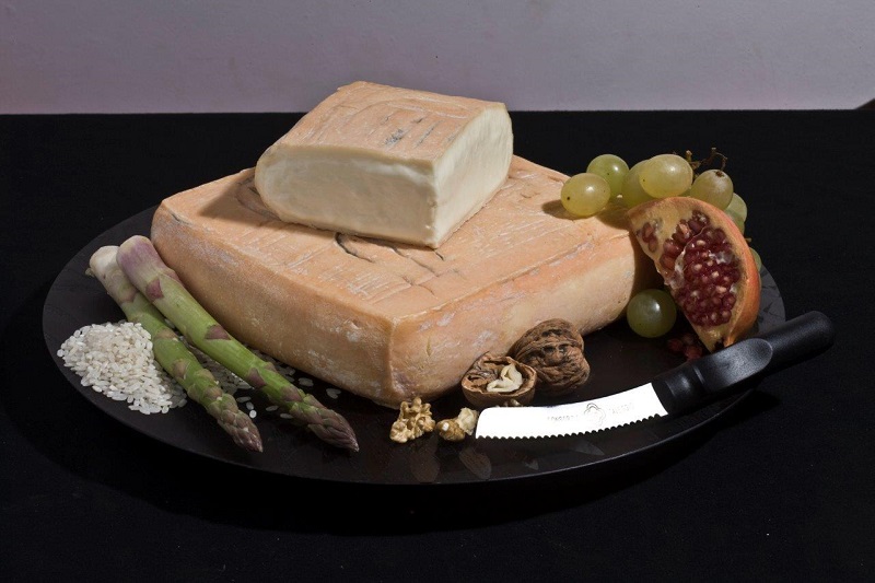 Taleggio