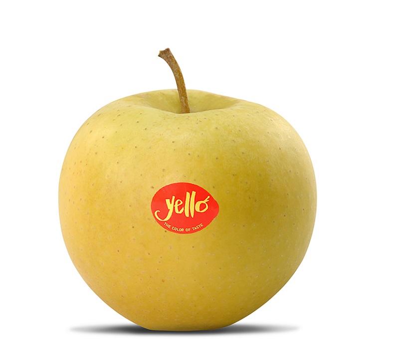 mela-yello