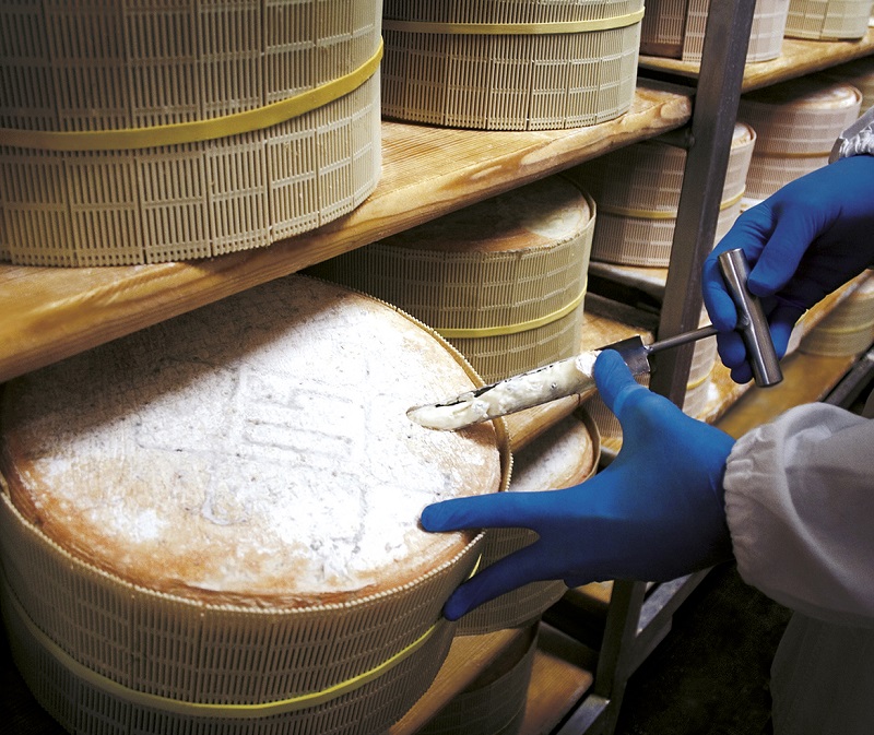 lavorazione-gorgonzola