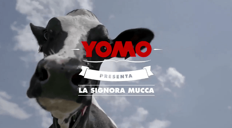 Frame-YOMO