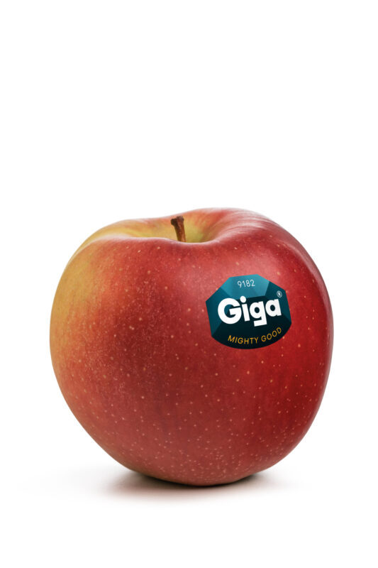 Giga