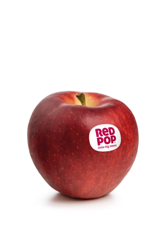 RedPop