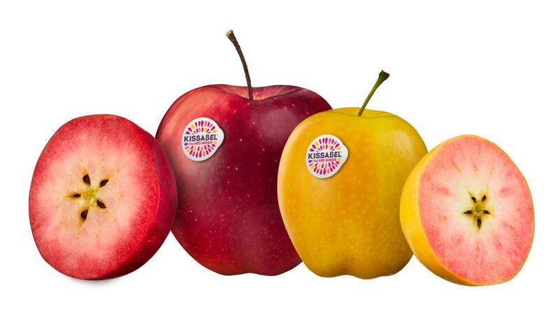 Kissabel-apple