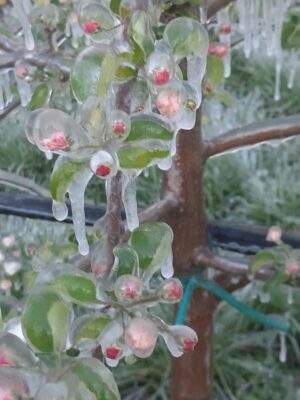 mattina-8-aprile-trento-sud