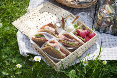 PicNic