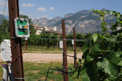 campus-fem-vigneto-smart