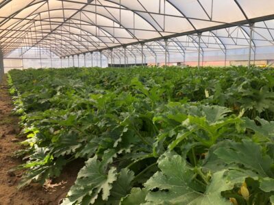 Risultati-Agroshop