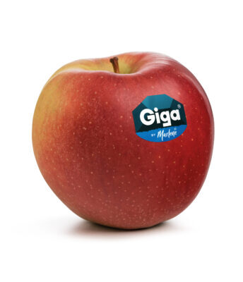 Giga