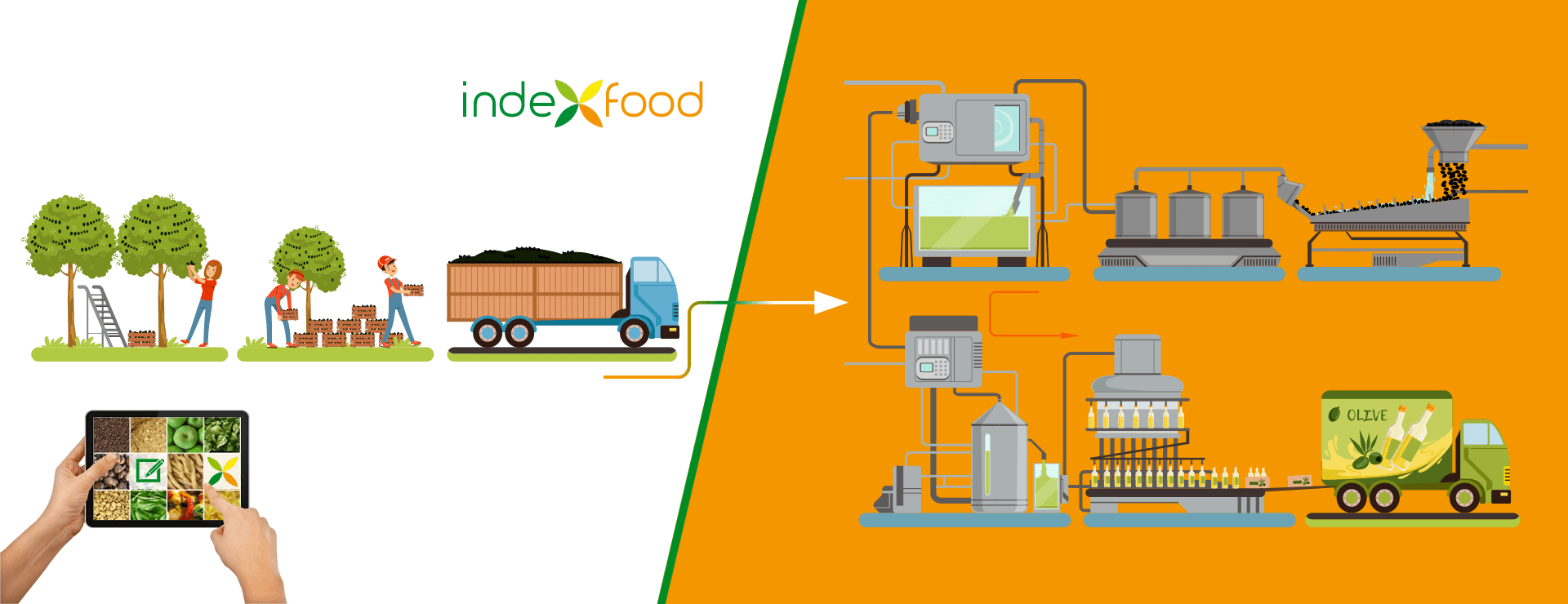eMarketplace di IndexFood - Piattaforma Multiservizi dedicata alle Aziende del settore Agroalimentare e Beverage