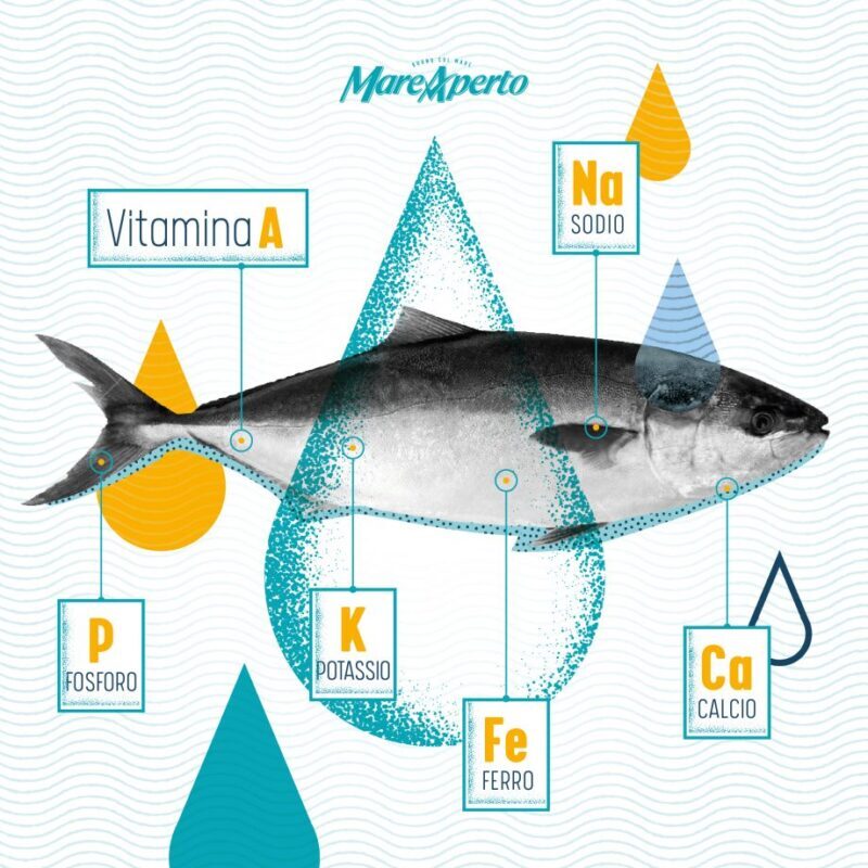 mare-aperto-infografica