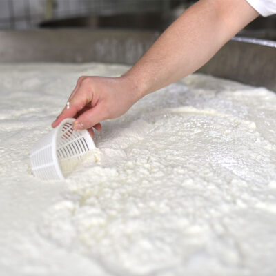 produzione-ricotta