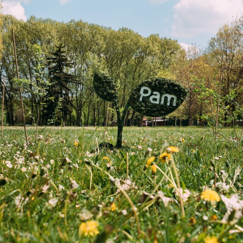 Giornata Mondiale dell'Ambiente, Pam Panorama arricchisce il polmone verde di Milano