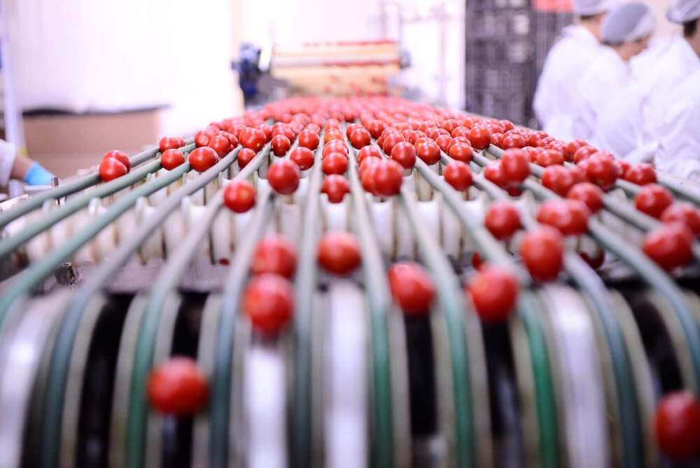 agromonte-produzione