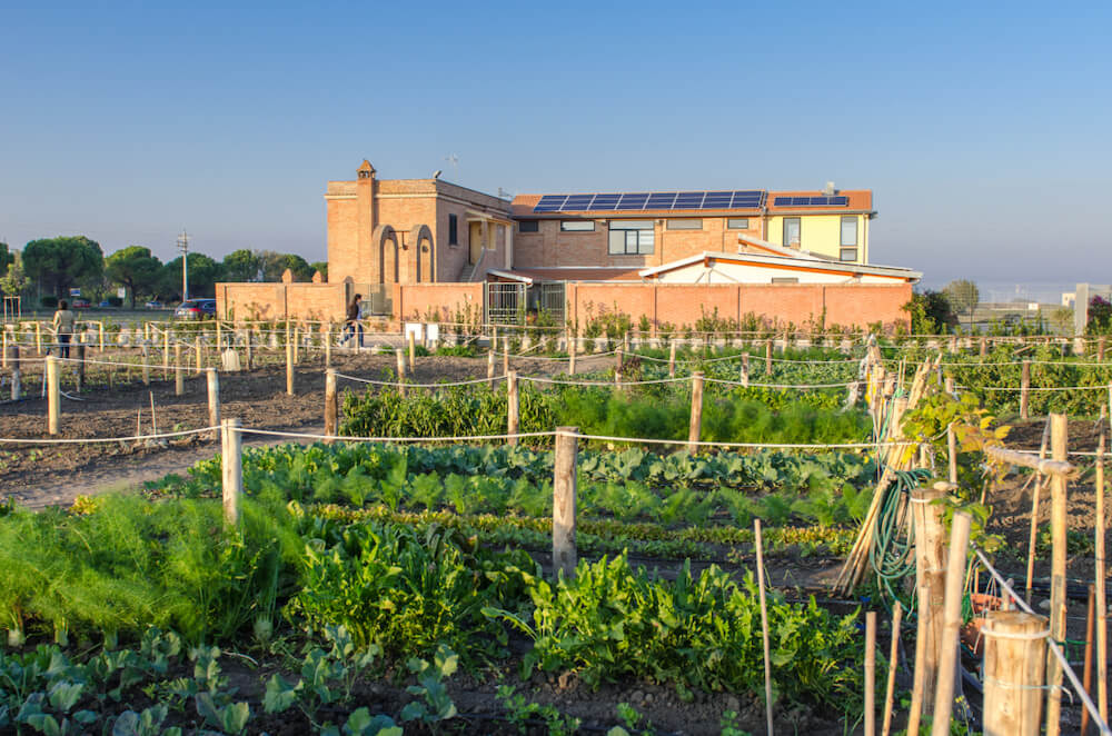alce-nero-sedi-masseria-de-vargas