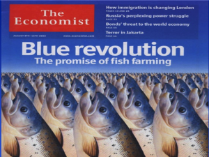 Una rivoluzione azzurra nel futuro Agroalimentare, ai tempi di Expo 2015 - Una Tesi di Laurea affronterà la questione