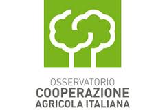 Osservatorio Cooperazione Agricola: Export a 6,6 Miliardi nel 2016 (+1,5%)