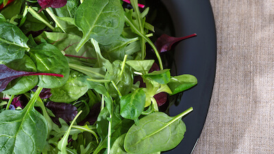insalata