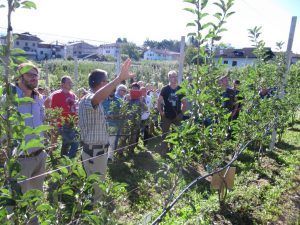 Maso Maiano - 250 Frutticoltori nei Campi a lezione di sostenibilità