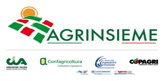 Italia e Spagna chiedono un rafforzamento della difesa fitosanitaria per gli agrumi